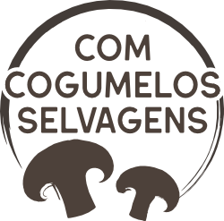 Com cogumelos selvagens